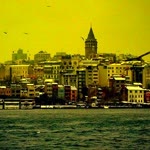 Melehat