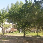 Habip