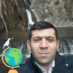 Ali