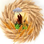 Kıymet