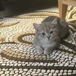 Saban