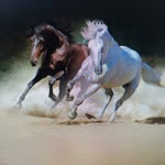 Ridvan