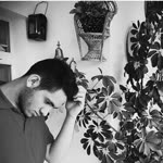 Cihat