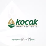 Koçak