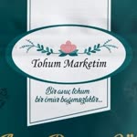 Ayşe