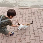 Özge