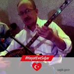 Sedat