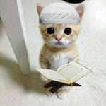 Yusuf