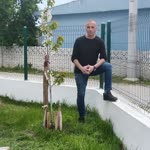 Barış