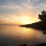 Sevgi