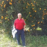 Lokman
