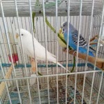 Profil fotoğrafı
