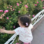 Dilan