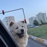 Adnan