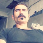 Turgut