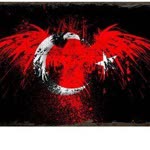 İclal