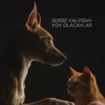 Ergül