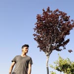 Serhat