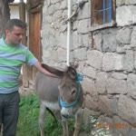Yusuf