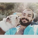 Şahin