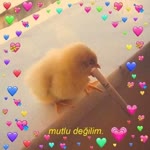 Mert
