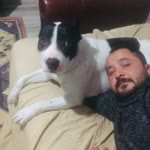 Profil fotoğrafı