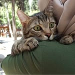 Dilek