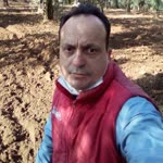 İlhan