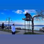 Celal