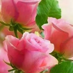 Hatice