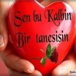 Aylin