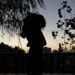 Nur