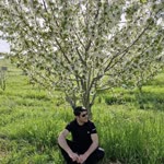 Cengiz