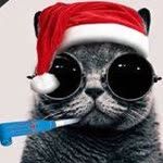 Furkan