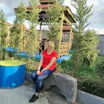 Neslihan