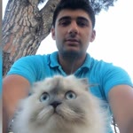 Halit