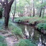 Kutlu