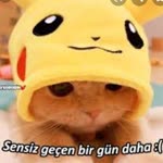 Sibel
