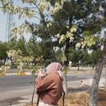 Pınar