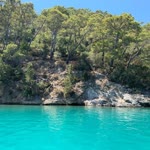 Yasar