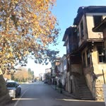 Zeynep