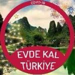 Songül