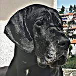 Hanna