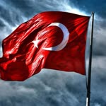 Halil