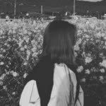 Marlidax