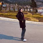 Şule