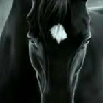 Sevilay