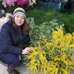Sibel