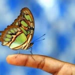 Arzu