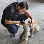 Erkan